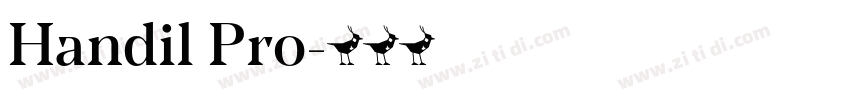 Handil Pro字体转换